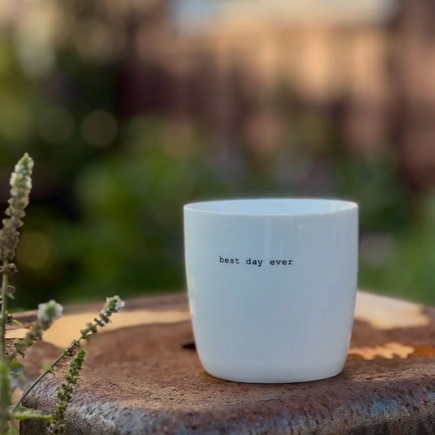 KAFFIBOLLAR MEÐ TEXTA